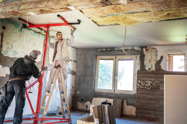 Best Insulation Replacement Services  in Campton Hls, IL